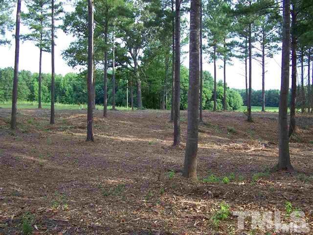 Lot 9 Rock Spring Church Road Henderson, NC 27537 - Photo 3 of 12 a view of a yard with trees