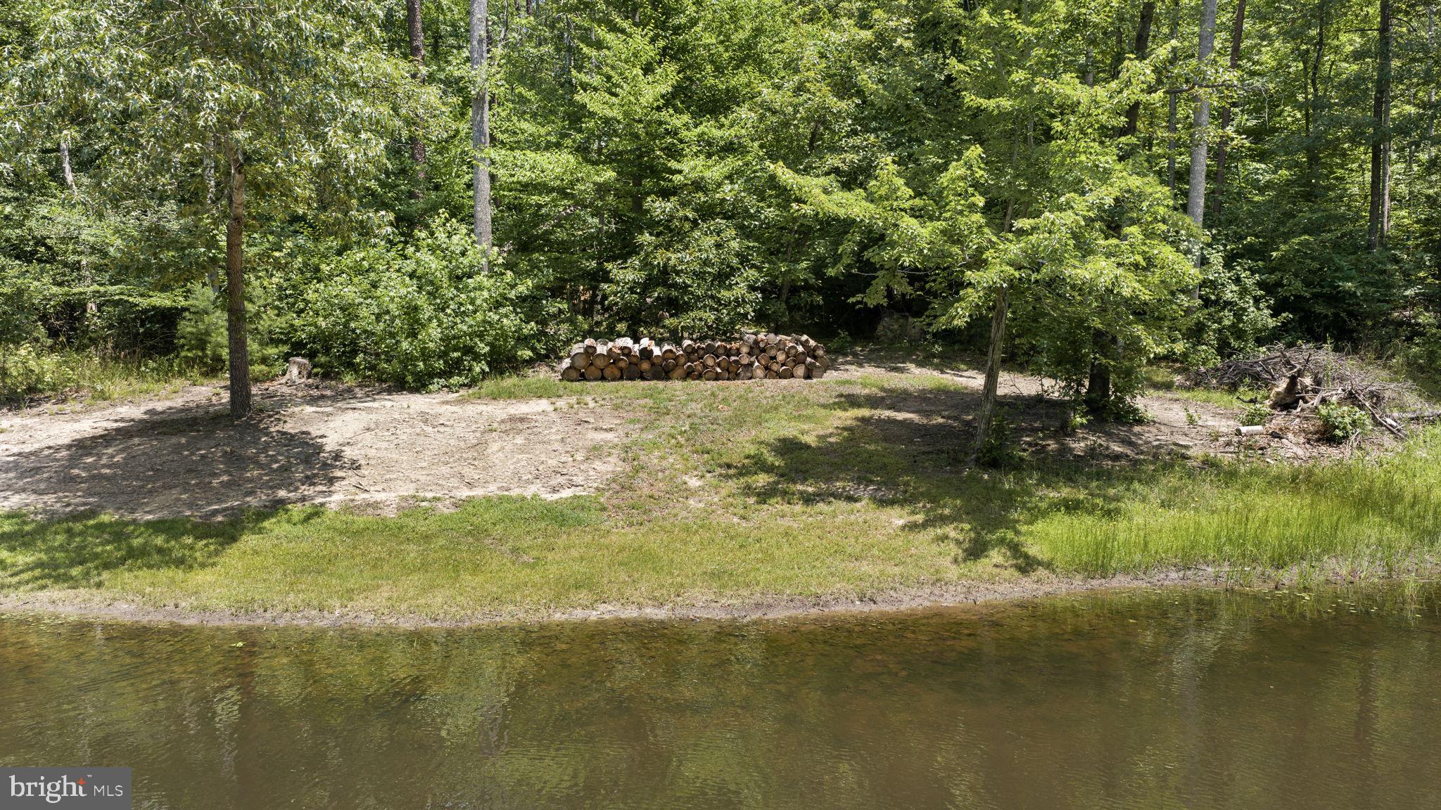 7409 River Road Fredericksburg, VA 22407 - Photo 92 of 140 Trail to the River