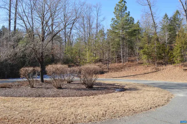 a view of a dry yard with trees