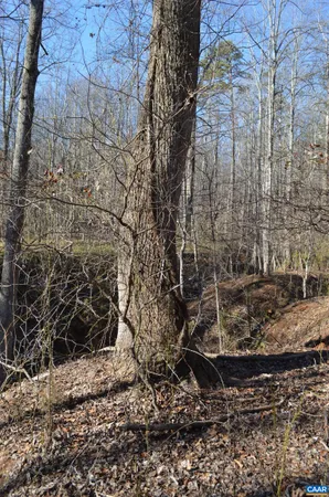 a view of a yard with a trees