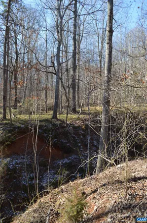 a view of yard and trees