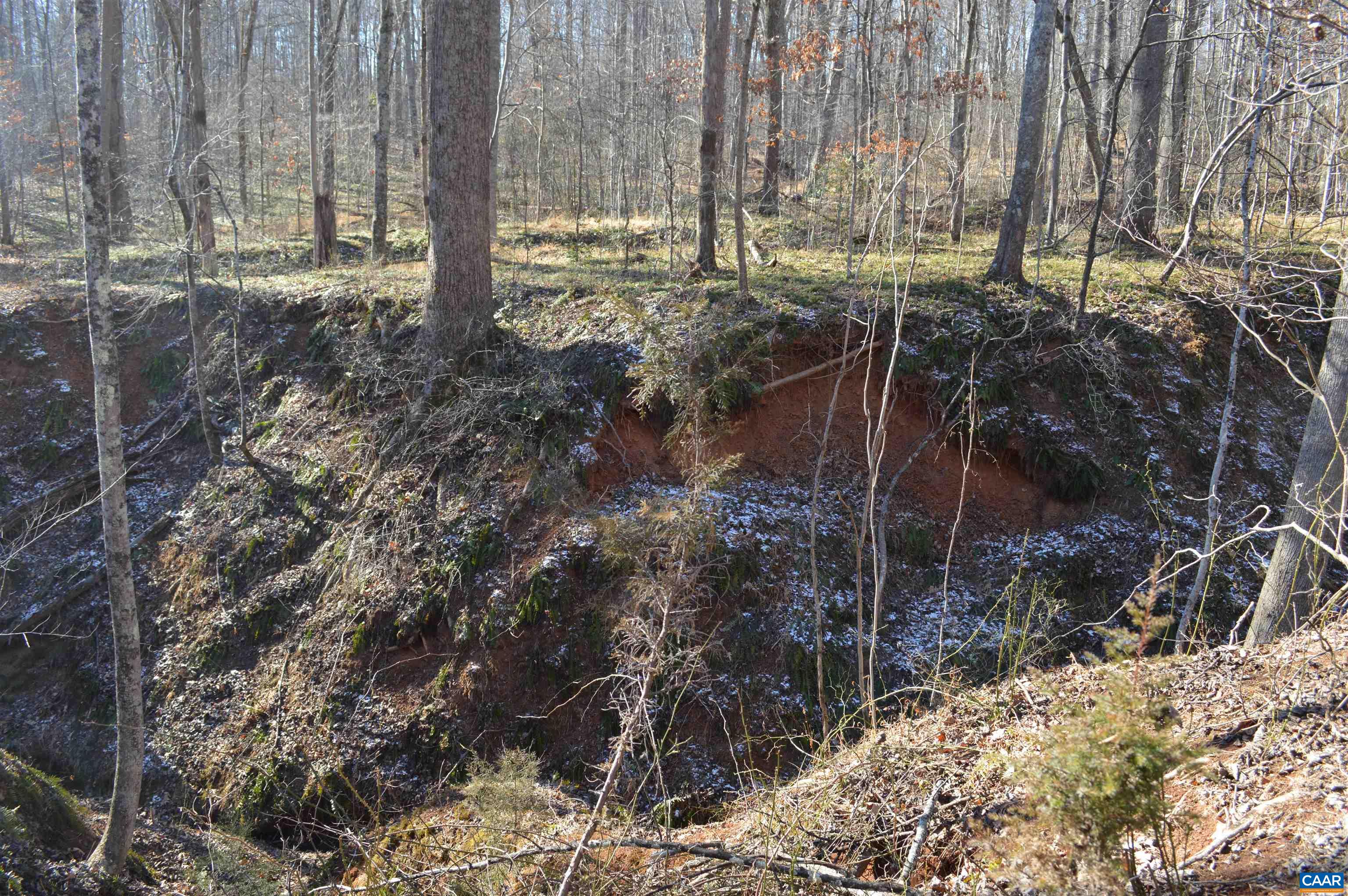 Frays Ridge Earlysville, VA 22936 - Photo 15 of 18