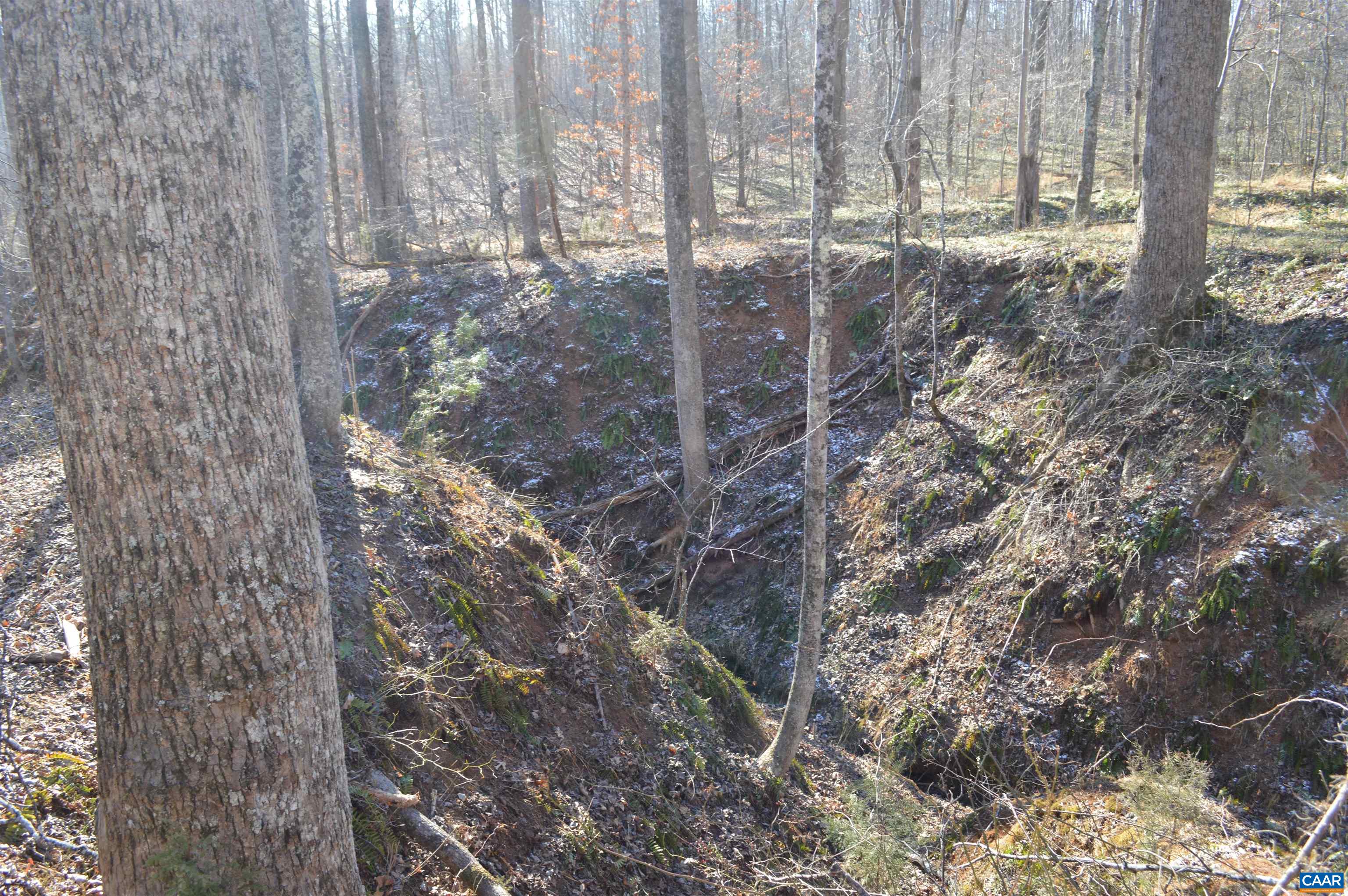 Frays Ridge Earlysville, VA 22936 - Photo 16 of 18