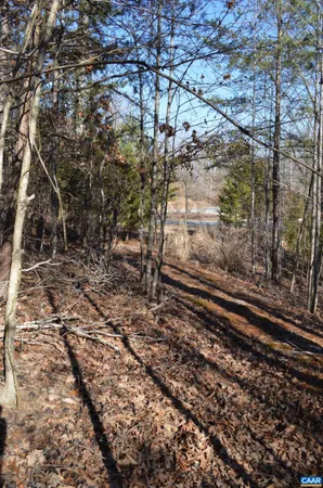 a view of a yard with wooden fence