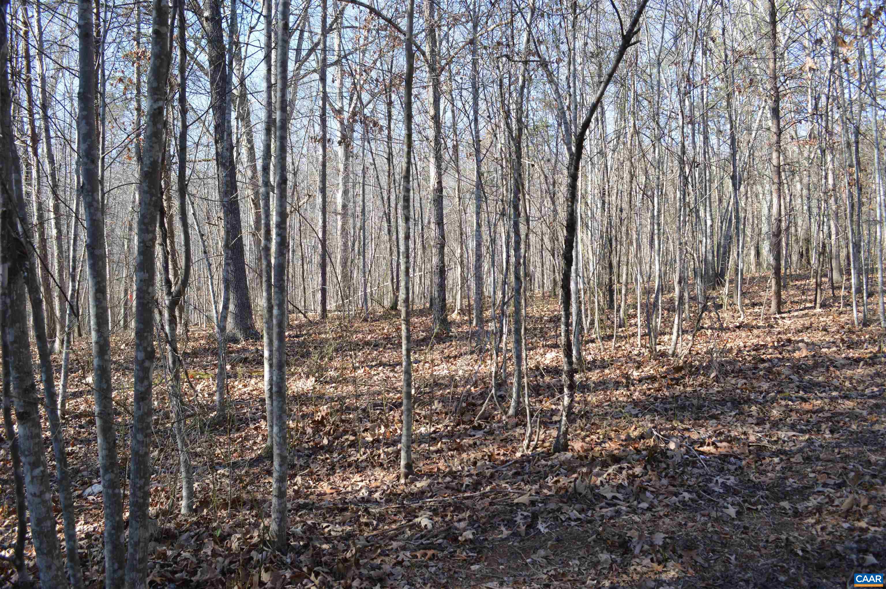 Frays Ridge Earlysville, VA 22936 - Photo 5 of 18