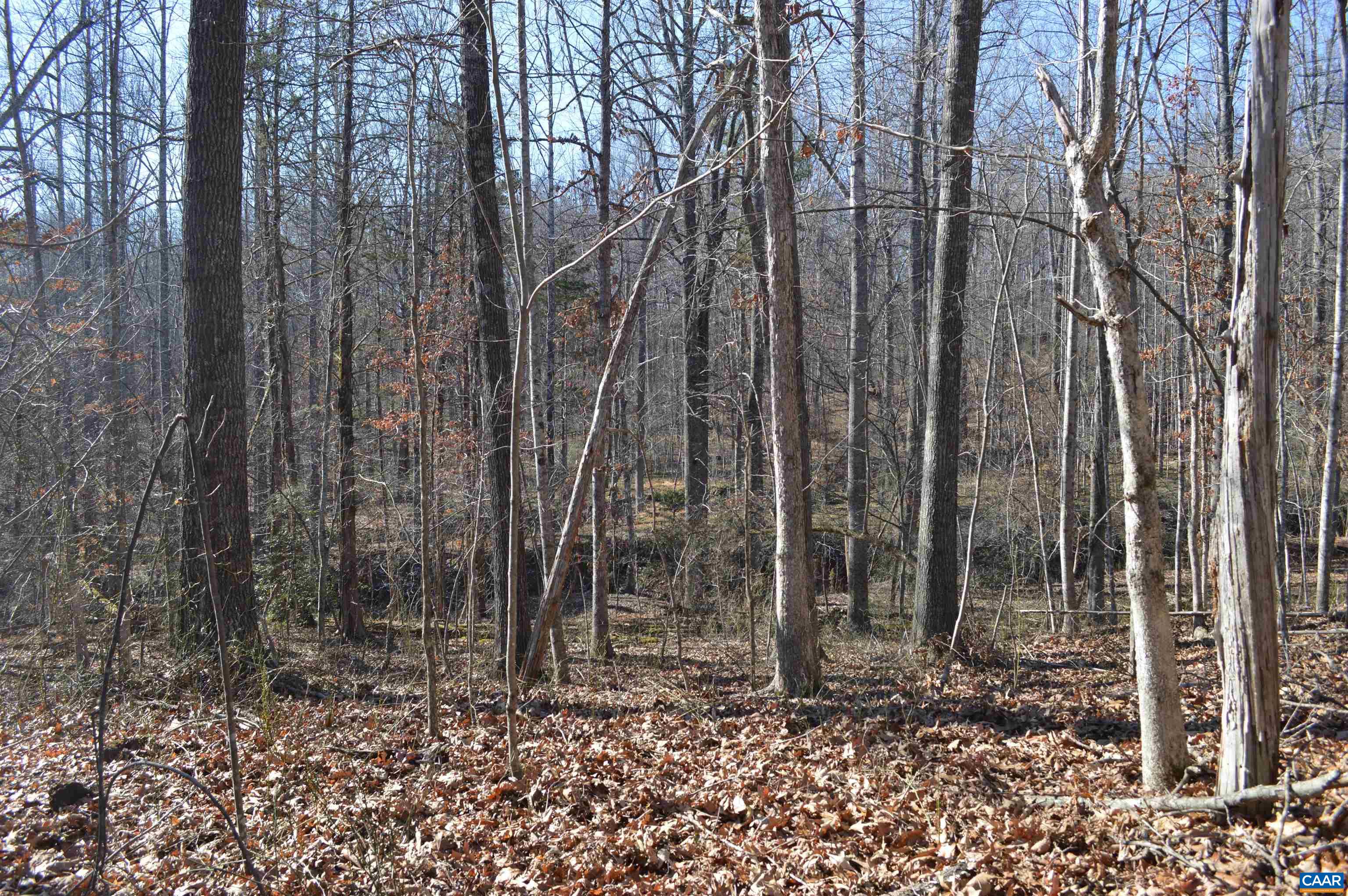 Frays Ridge Earlysville, VA 22936 - Photo 6 of 18