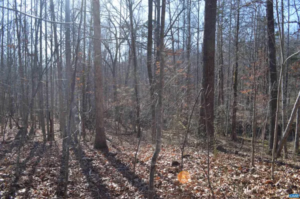 a view of a yard with trees in the background