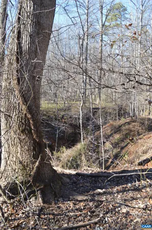 a view of a wooden door