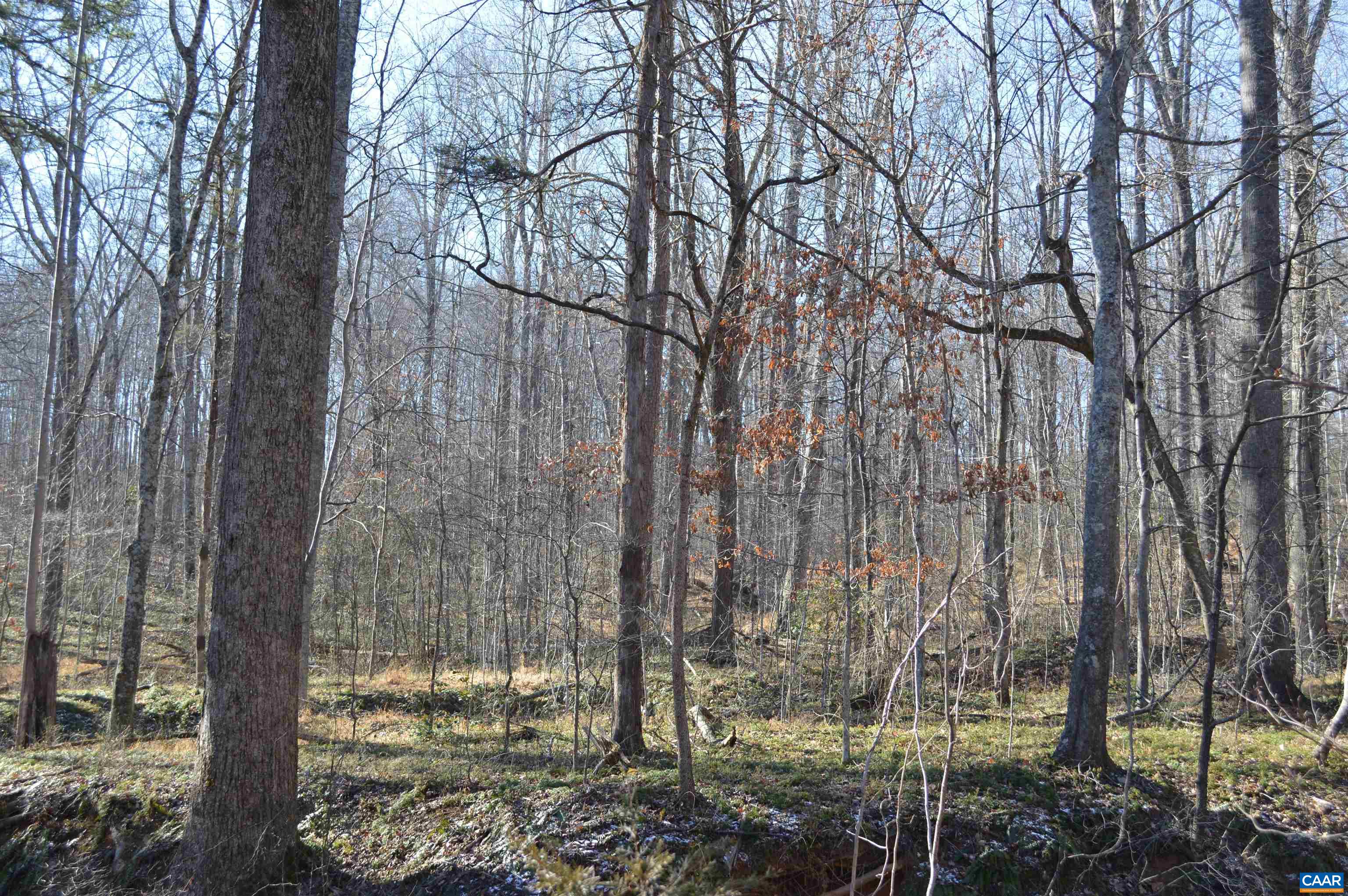 Frays Ridge Earlysville, VA 22936 - Photo 10 of 18