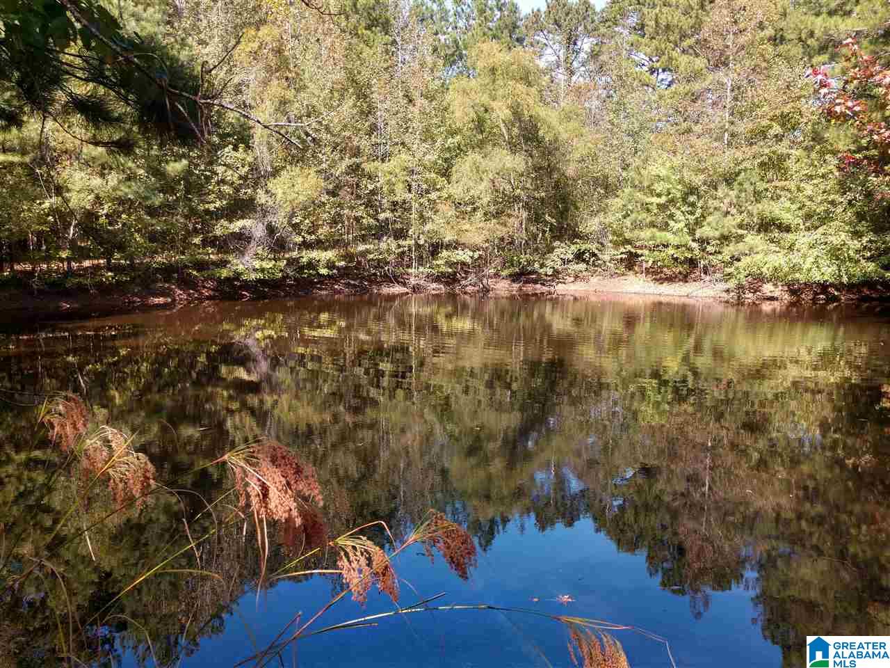 5403 County Road 41 Clanton, AL 35046 - Photo 10 of 12
