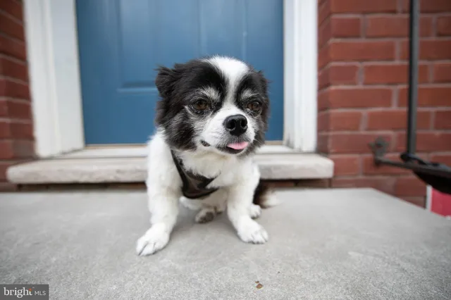 $325,000 | 1926 Poplar Street, Unit 1, Philadelphia, PA 19130