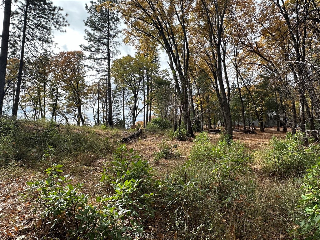 a view of outdoor space with trees
