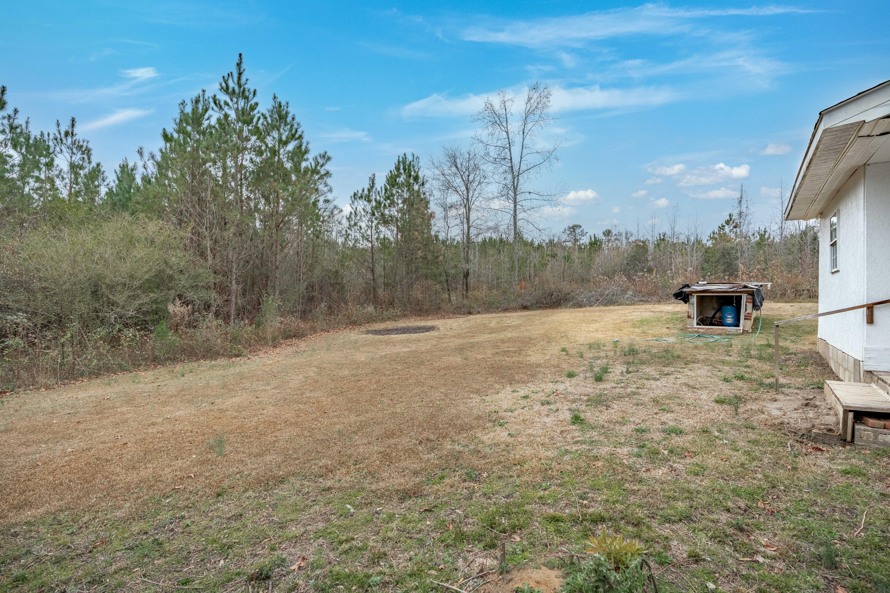 305 Scrimshaw Road Batesburg, SC 29006 - Photo 32 of 42