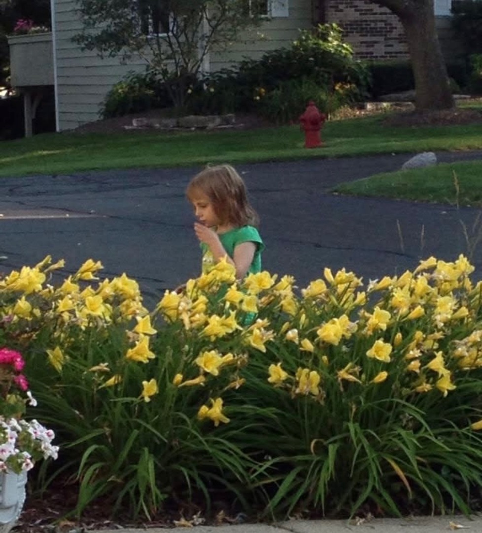 1491 West Shire Circle Inverness, IL 60067 - Photo 37 of 37