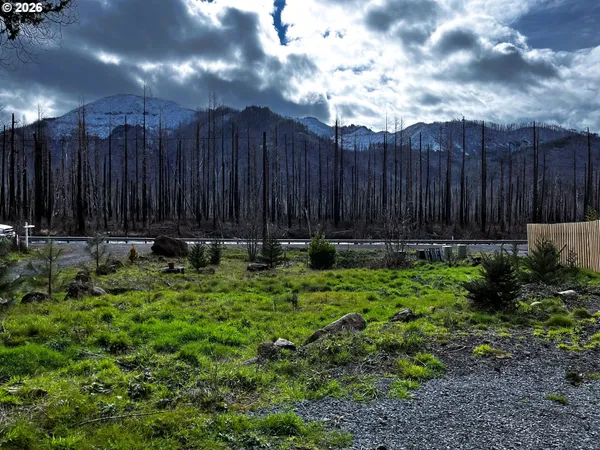 $449,000 | 52633 McKenzie Highway, Blue River, OR 97413