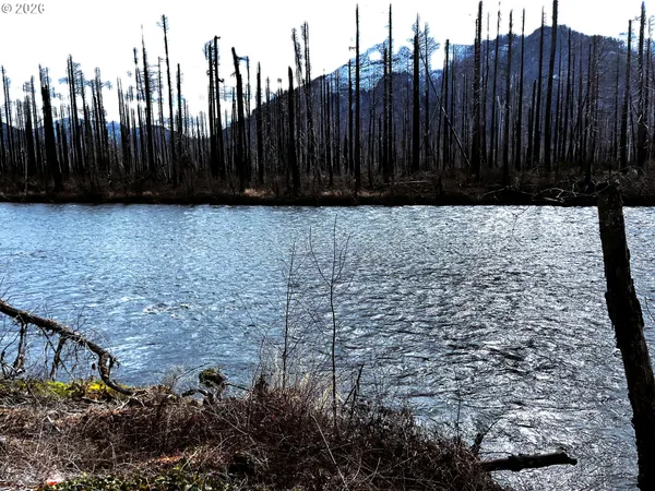 $449,000 | 52633 McKenzie Highway, Blue River, OR 97413