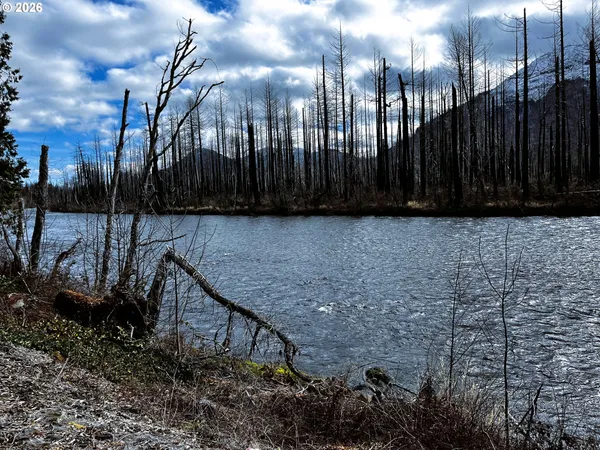 $449,000 | 52633 McKenzie Highway, Blue River, OR 97413