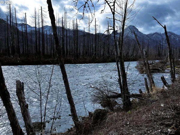 $449,000 | 52633 McKenzie Highway, Blue River, OR 97413