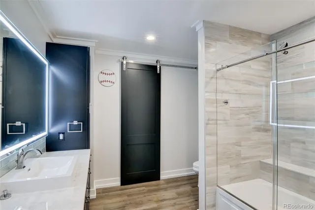 a bathroom with a shower and a sink