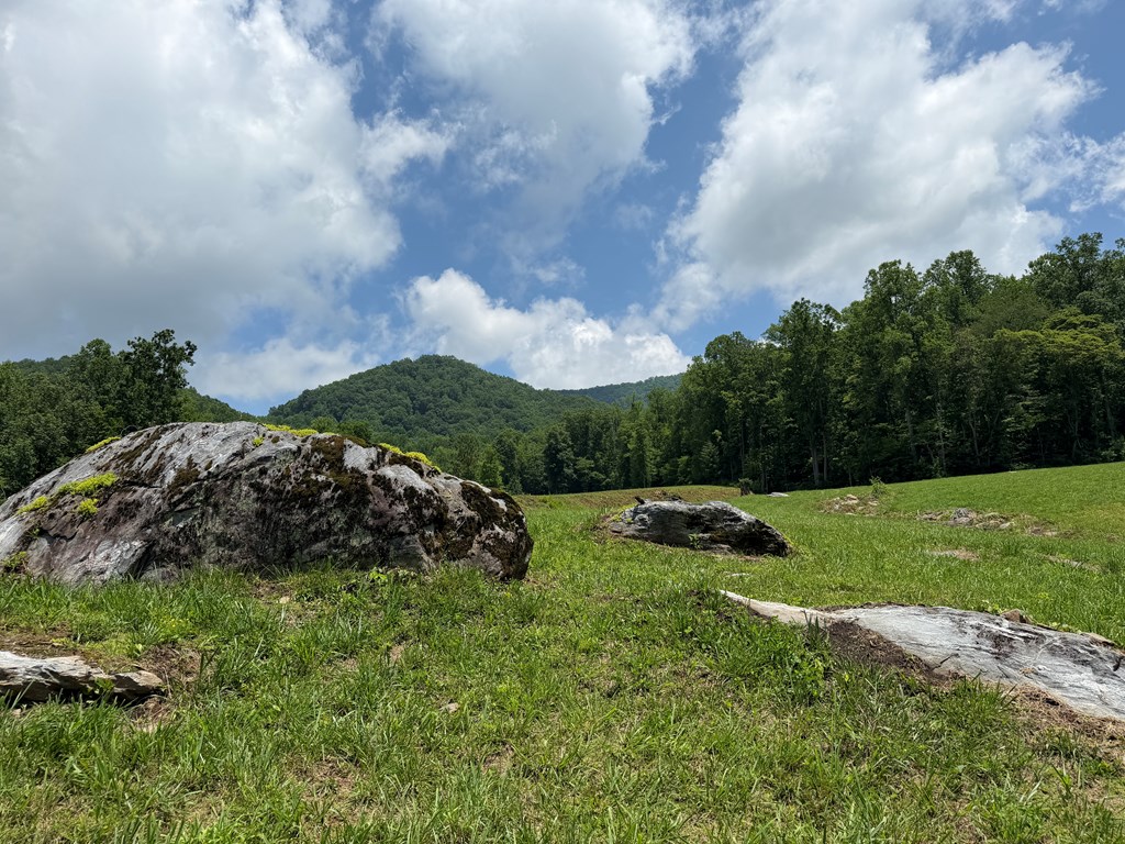 1446 Muskrat Creek Road Hayesville, NC 28904 - Photo 9 of 108