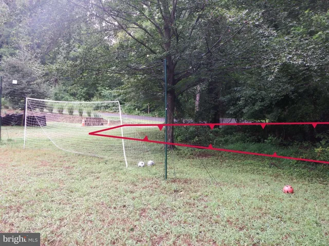 a view of a backyard with plants and large trees