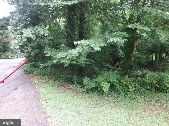 a view of backyard with garden and car parked