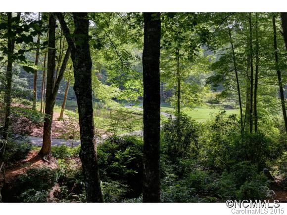 869 Boiling Springs Road Sapphire, NC 28774 - Photo 13 of 15 Gallery Image 13
