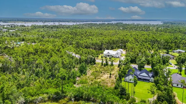 a view of a yard with plants