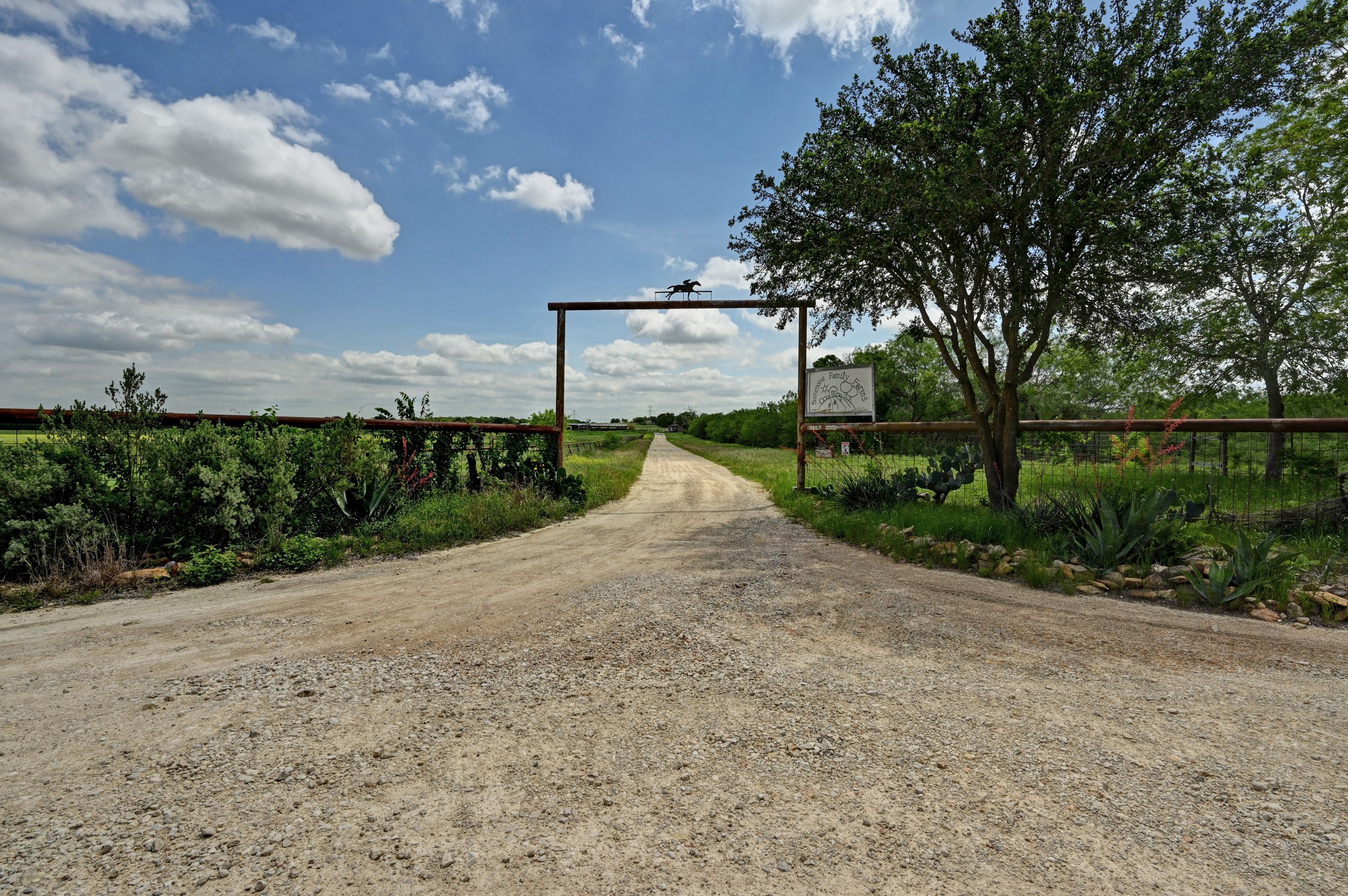 a view of a road with a yard