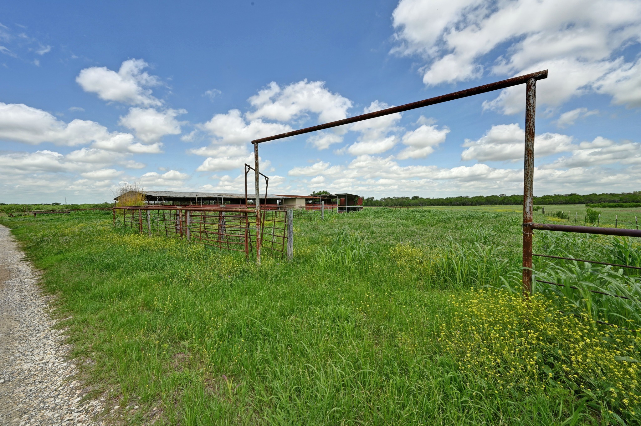 410 Simmons Family Farm Road Lockhart, TX 78644 - Photo 37 of 40 a view of a back yard