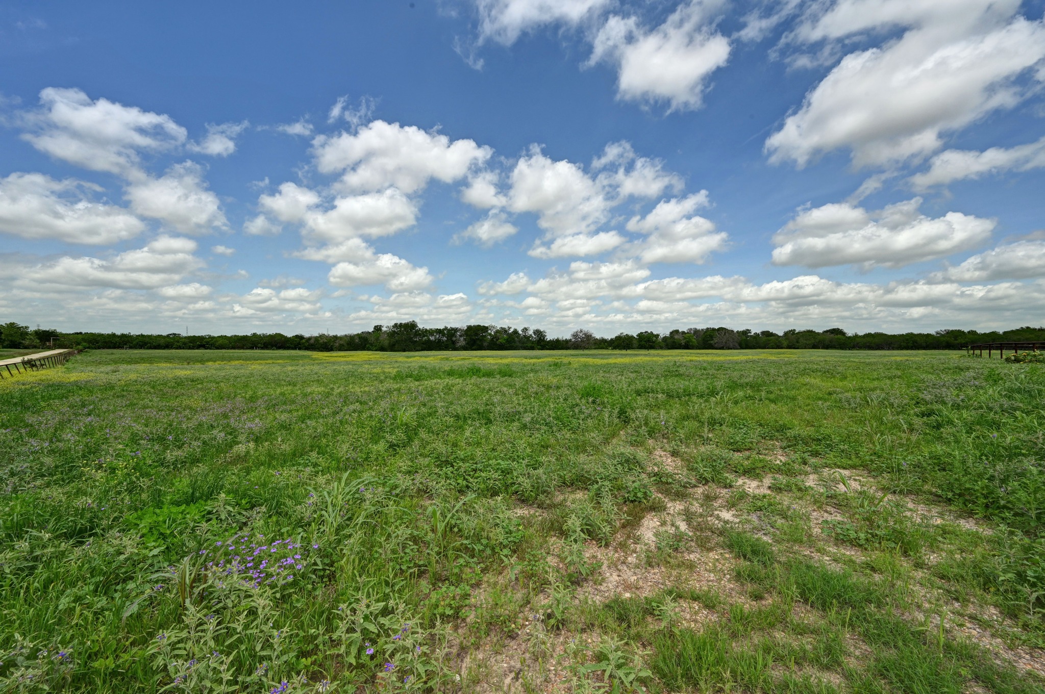 410 Simmons Family Farm Road Lockhart, TX 78644 - Photo 39 of 40 a view of a big yard with large trees