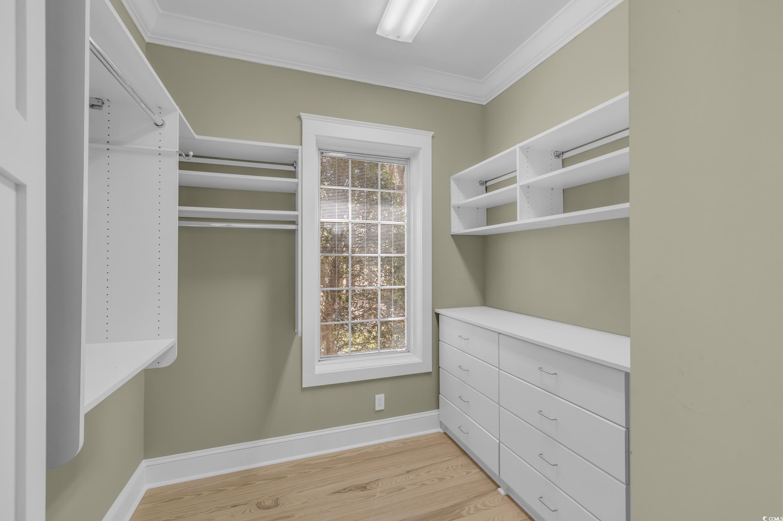 511 Rice Bluff Road Pawleys Island, SC 29585 - Photo 35 of 40