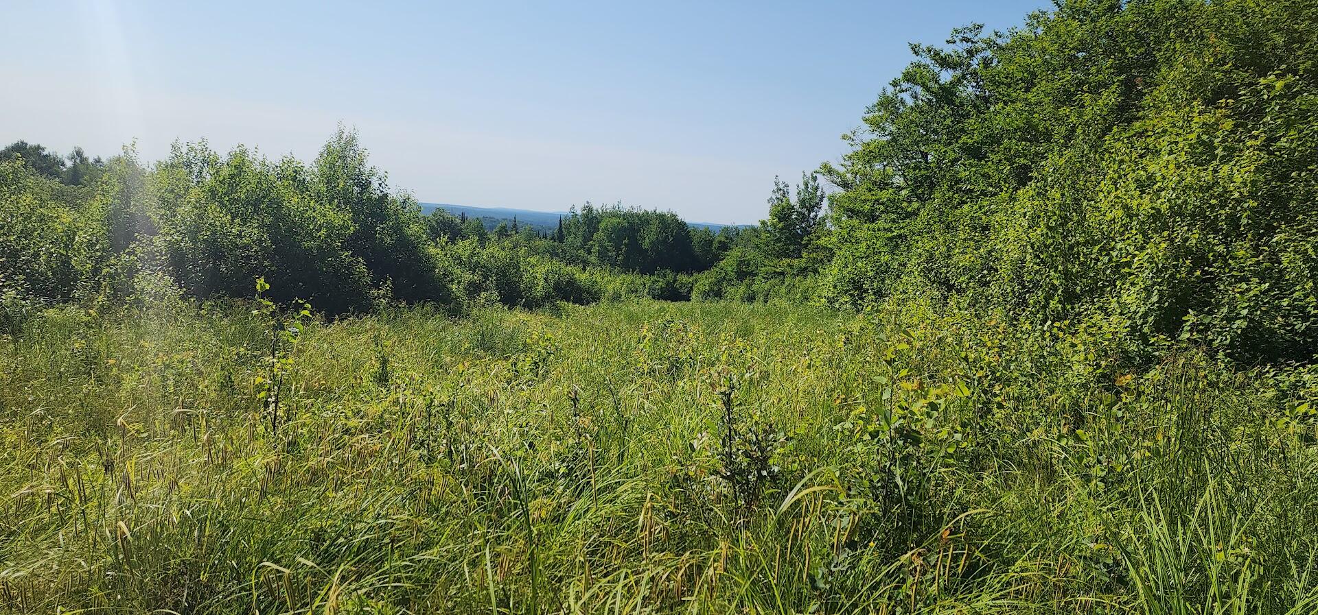 21-ac Off Dow Farm Road Island Falls, ME 04747 - Photo 19 of 19 20240702_084617