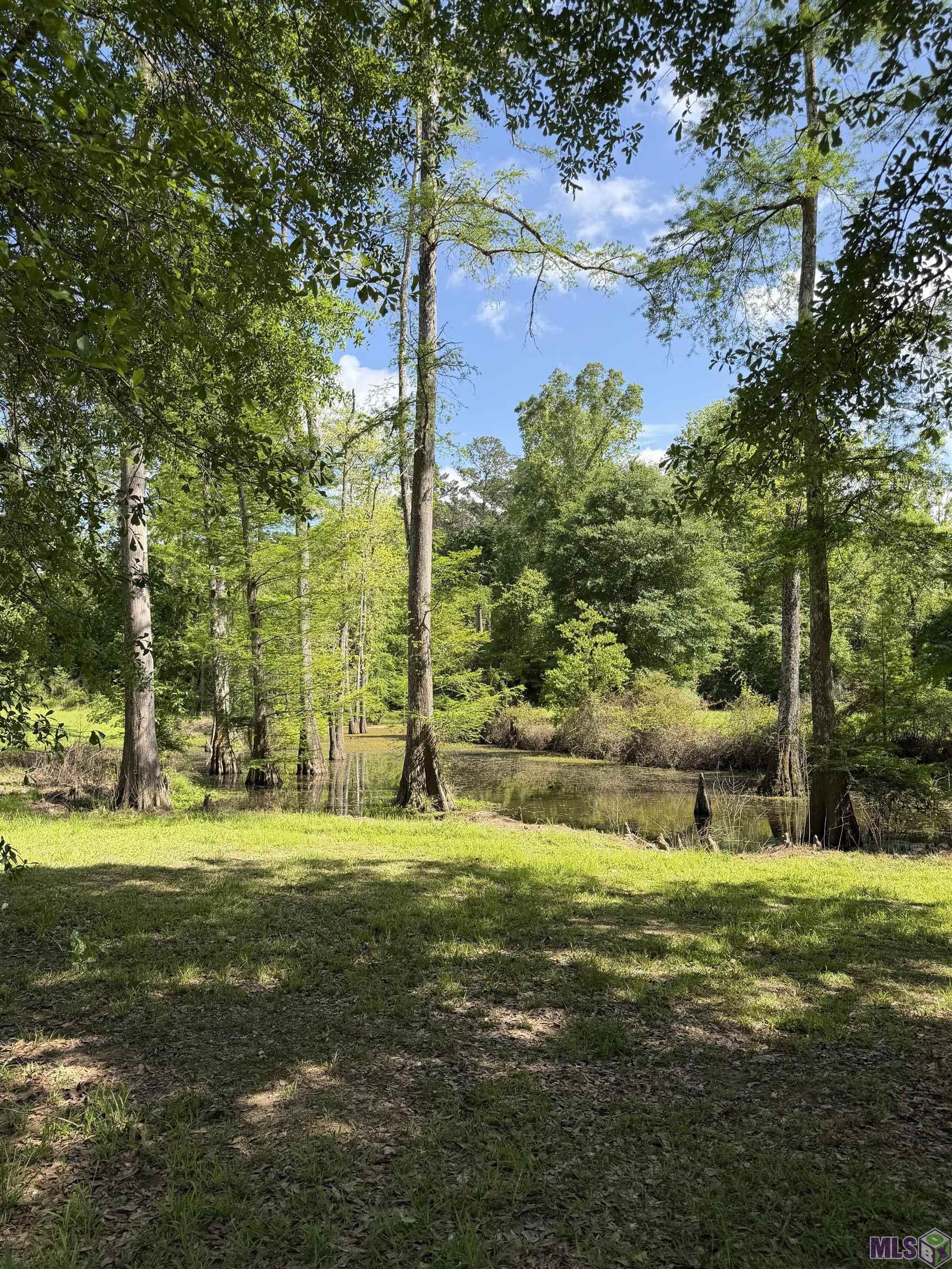17635 Melancon Road Livingston, LA 70754 - Photo 32 of 40 Gallery Image 32