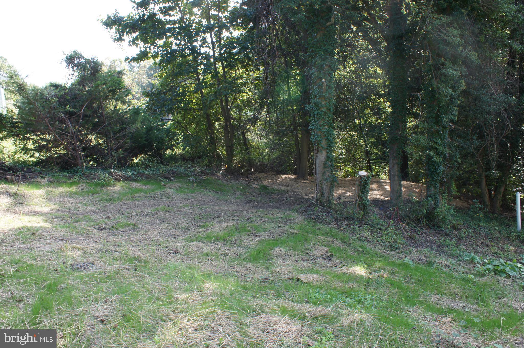 71 Jones Station Road Arnold, MD 21012 - Photo 4 of 26 Recently cleared and graded side yard