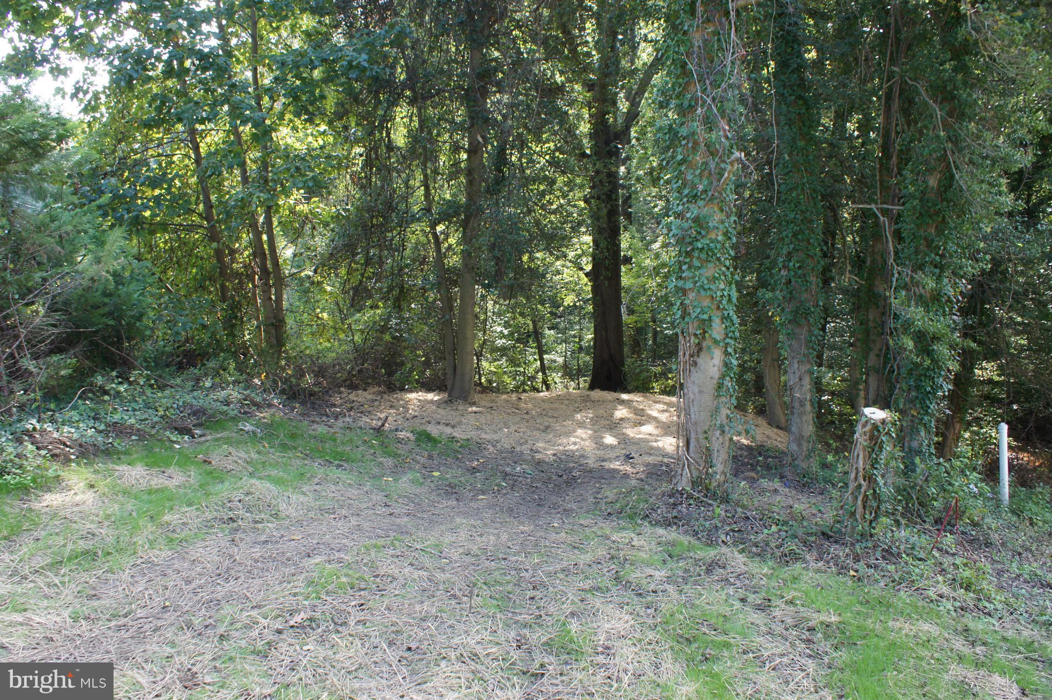 71 Jones Station Road Arnold, MD 21012 - Photo 5 of 26 Graded and level side yard extends into woods