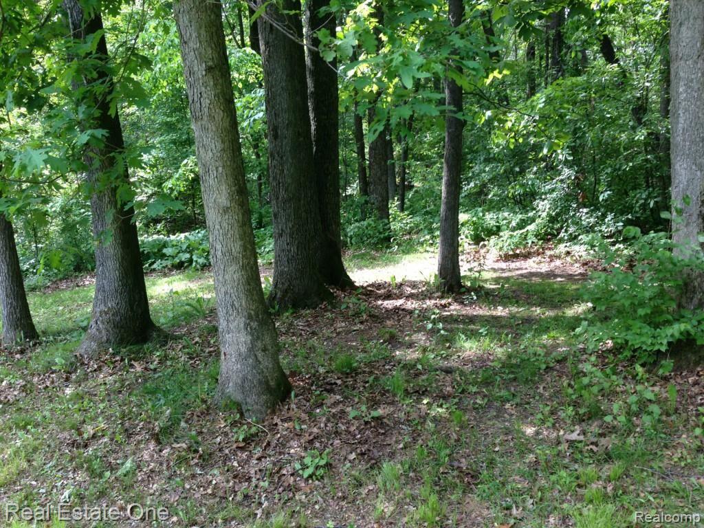 9435 Mabley Hill Road Fenton, MI 48430 - Photo 32 of 32