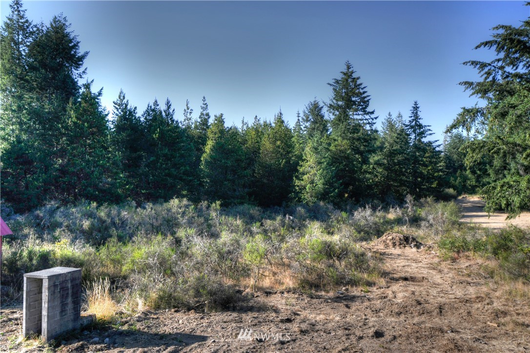 4910 Offut Lake Road Southeast Tenino, WA 98589 - Photo 22 of 22 Gallery Image 22