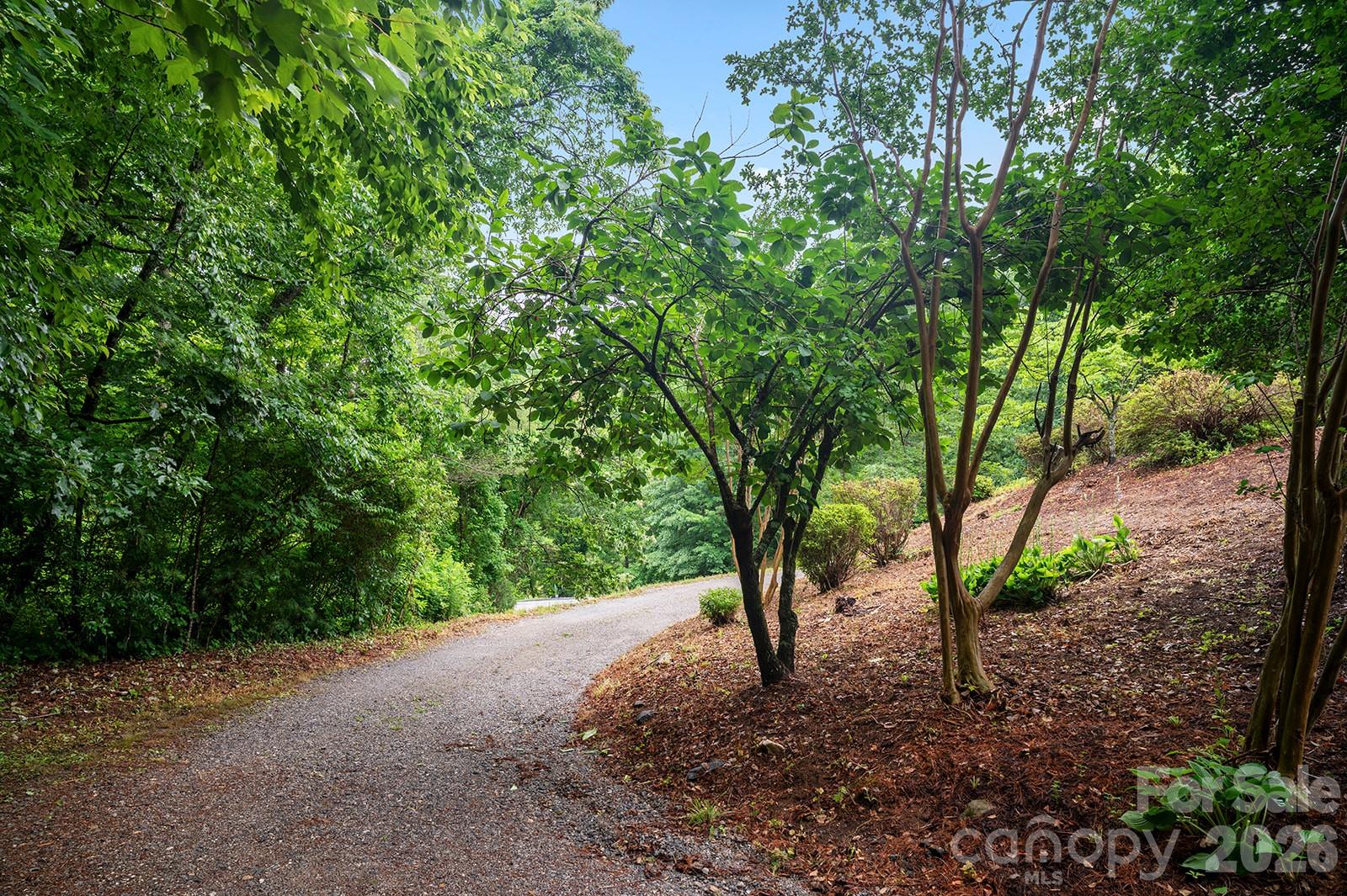 825 Gallimore Road Flat Rock, NC 28731 - Photo 13 of 41