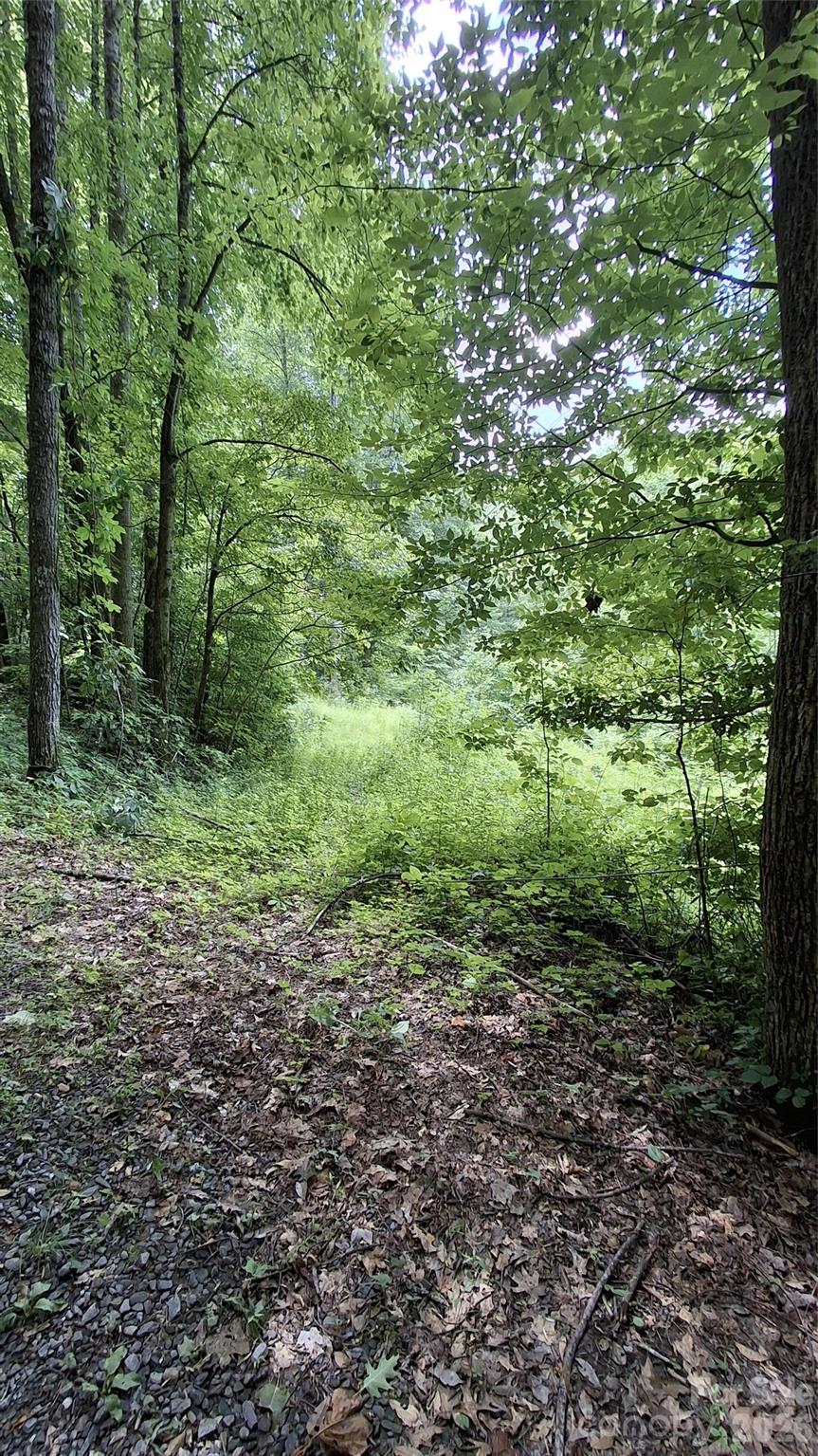 0 Dry Creek Road Robbinsville, NC 28771 - Photo 15 of 20