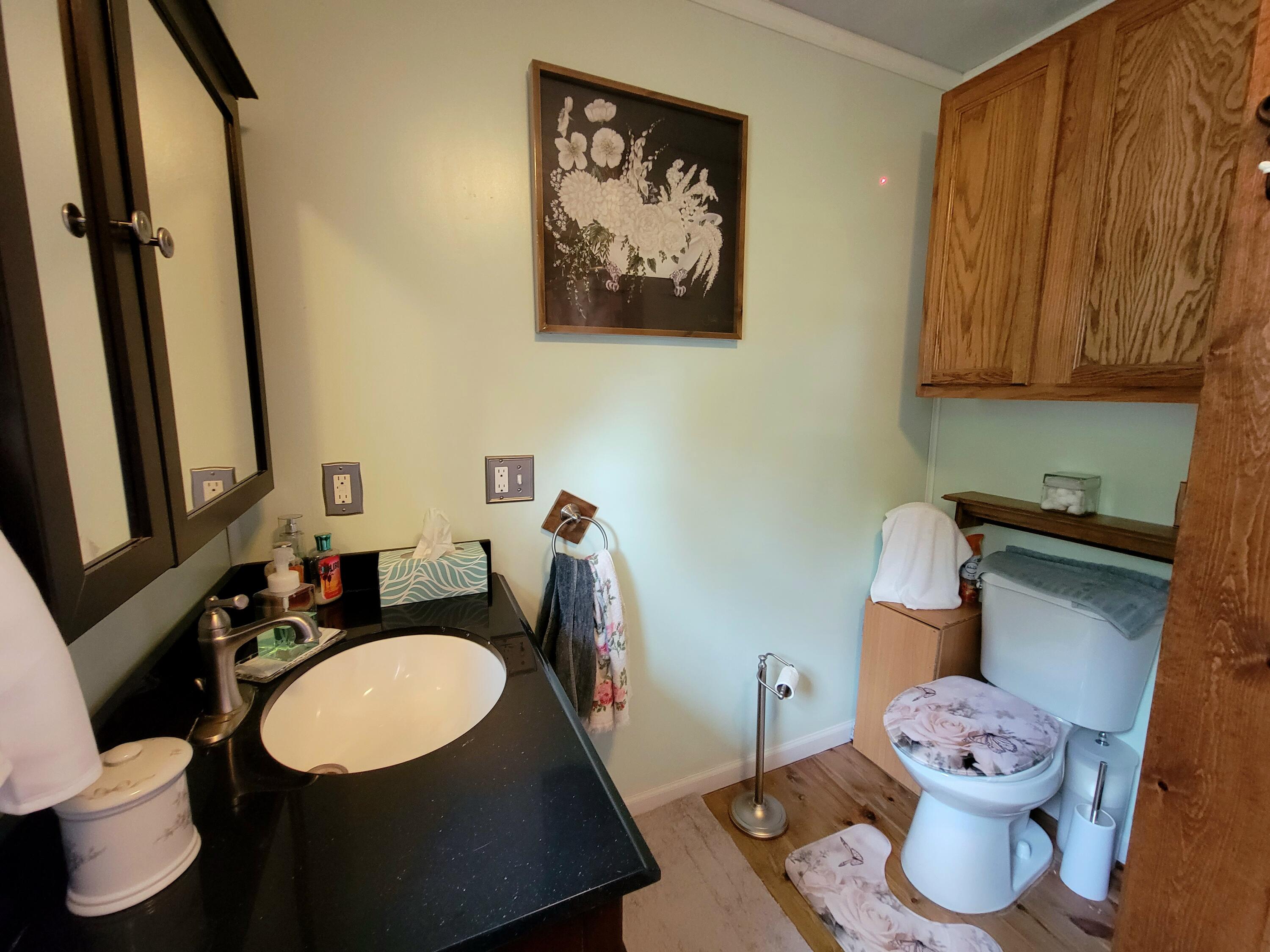 7342 Wilkinson Road Gaylord, MI 49735 - Photo 10 of 28 Gallery Image 10