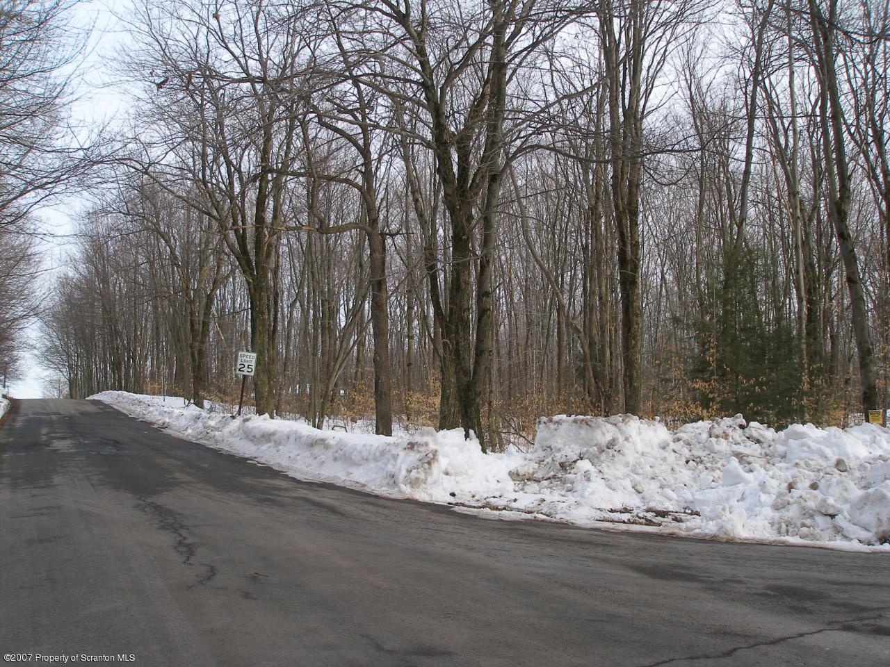 338 Union Mill Road Moscow, PA 18444 - Photo 1 of 4 Corner along Union Mill