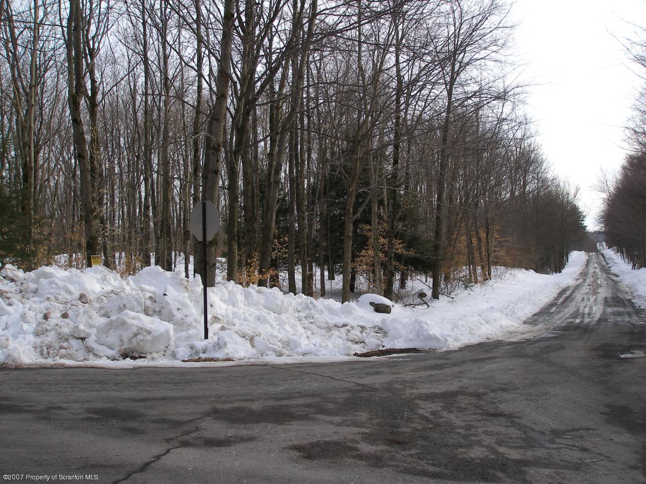 338 Union Mill Road Moscow, PA 18444 - Photo 2 of 4 Corner along Winship