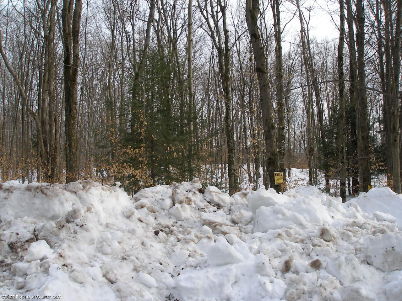 338 Union Mill Road Moscow, PA 18444 - Photo 3 of 4 Beautiful wooded corner lot