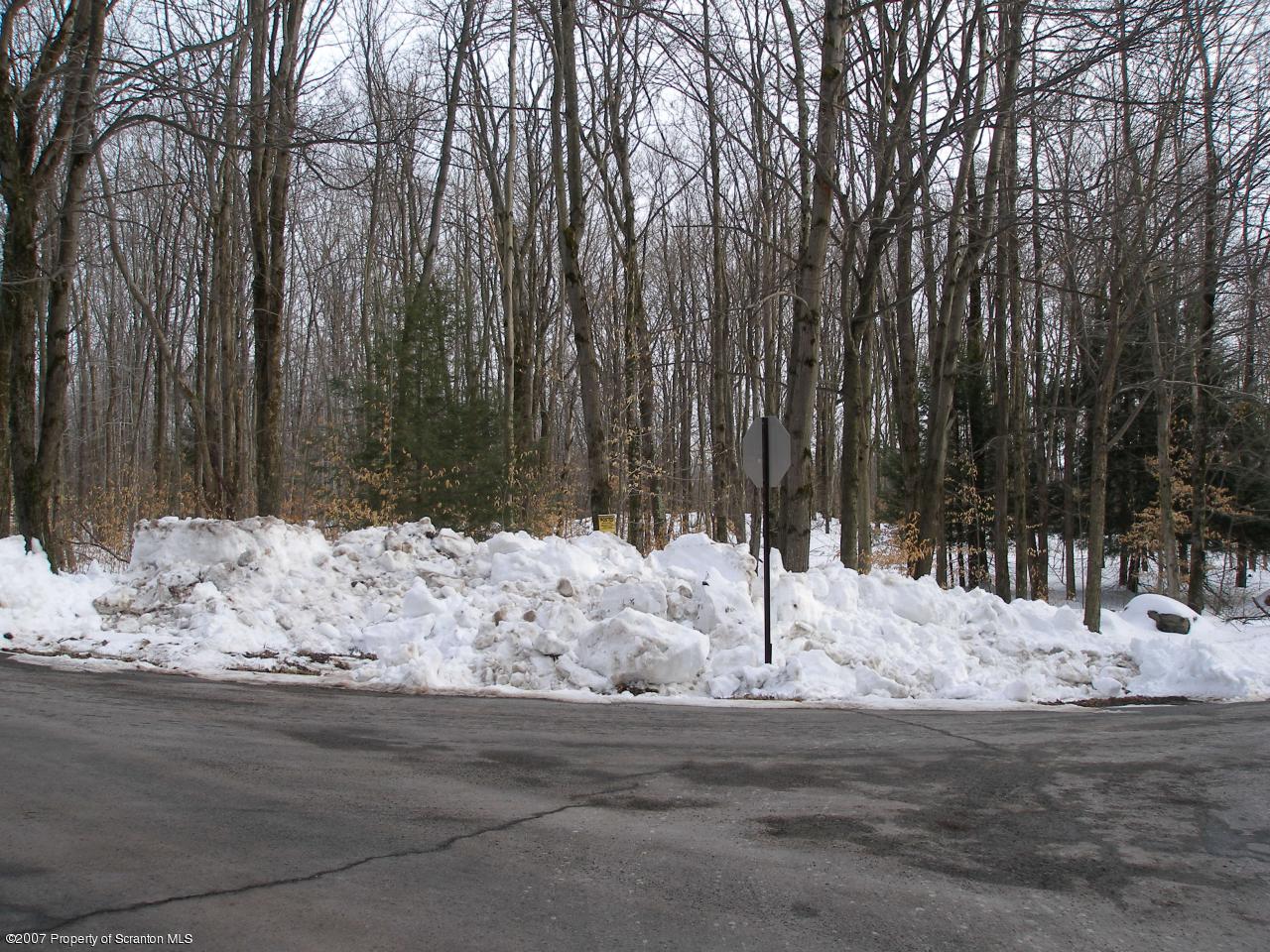 338 Union Mill Road Moscow, PA 18444 - Photo 4 of 4 Union Mill & Winship Roads