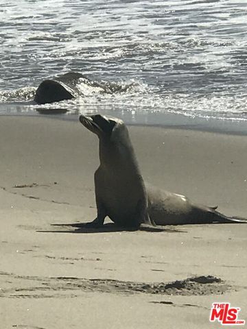 $8,999 | 11422 Tongareva Street, Malibu, CA 90265