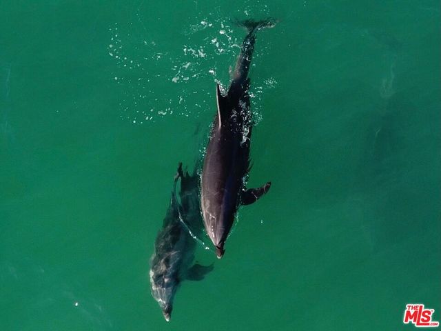 $8,999 | 11422 Tongareva Street, Malibu, CA 90265