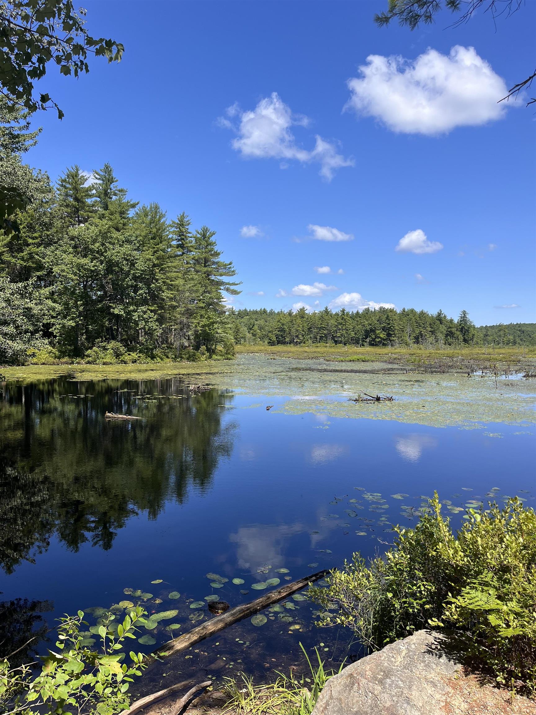 29 South Bow Dunbarton Road Bow, NH 03304 - Photo 58 of 60
