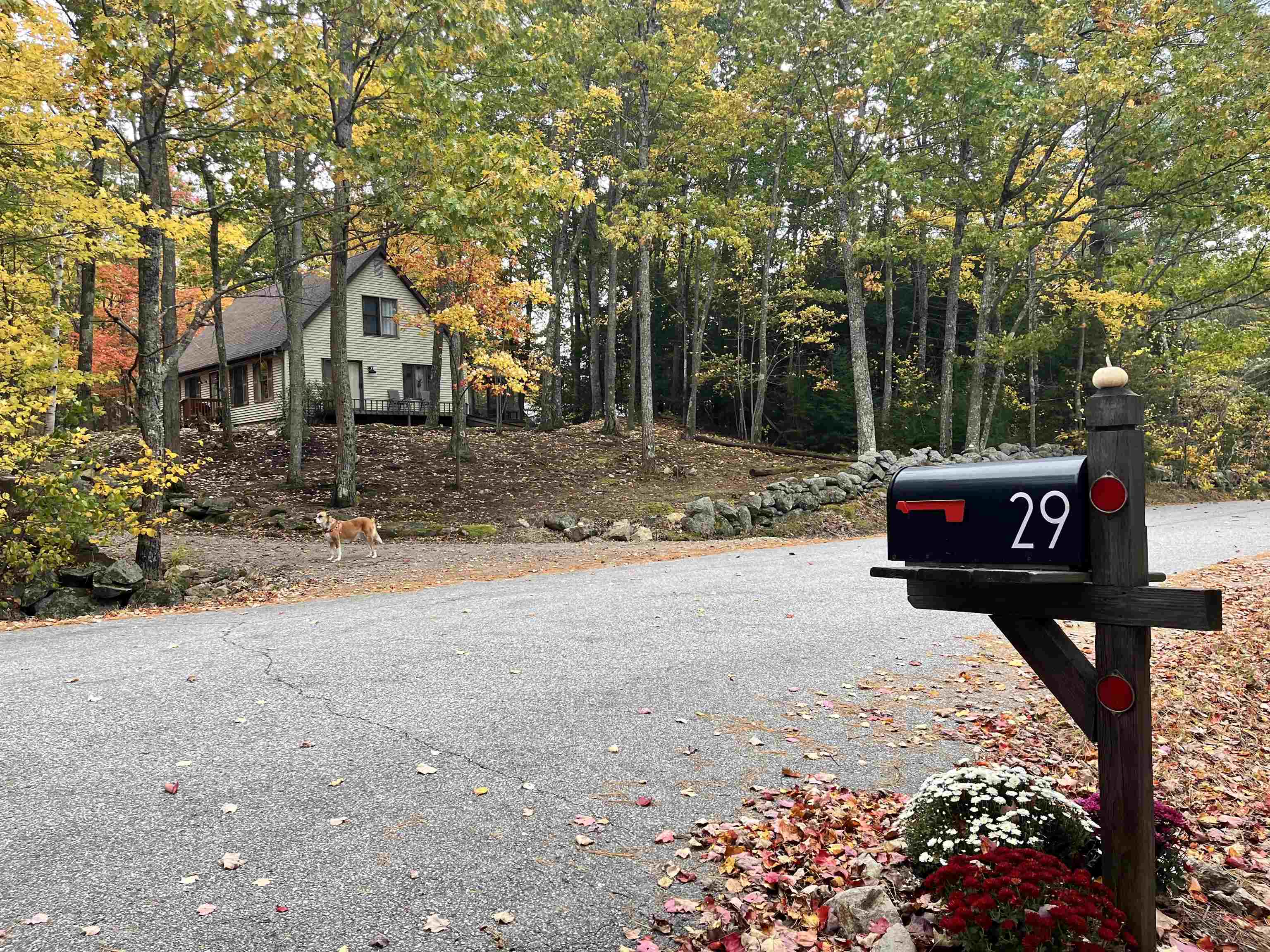 29 South Bow Dunbarton Road Bow, NH 03304 - Photo 59 of 60