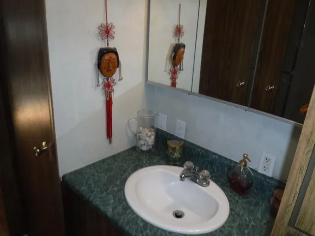a bathroom with a sink and a mirror